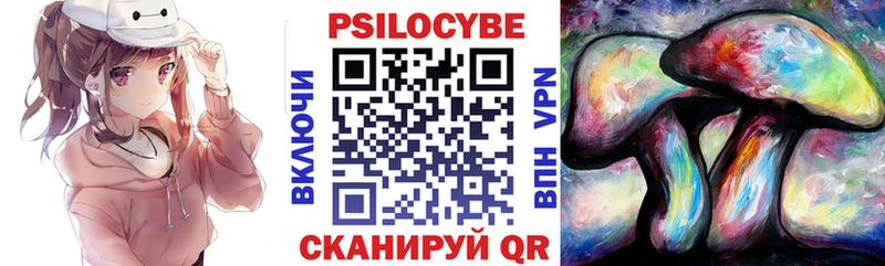 купить  цена  Соль-Илецк  Галлюциногенные грибы Cubensis 
